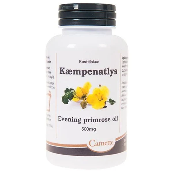 Camette Kæmpenatlys GLA Evening Primrose