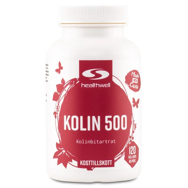 Healthwell Cholin 500